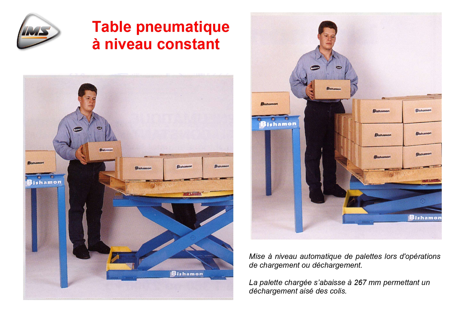 Table pneumatique à niveau constant pour palettisation cartons