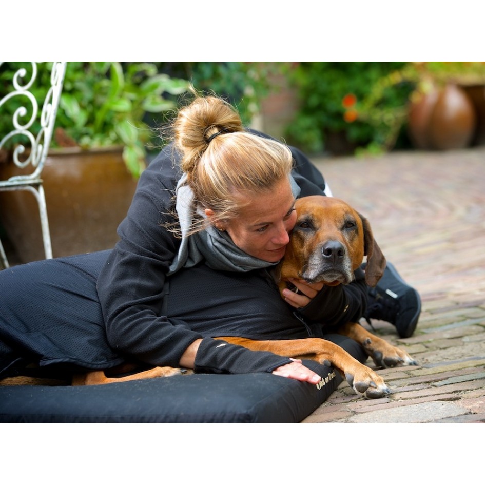 Matelas à mémoire de forme pour apaiser les douleurs des chiesn