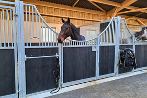 AMÉNAGEMENTS POUR ÉCURIES (VAN DEN OETELAAR METAAL)