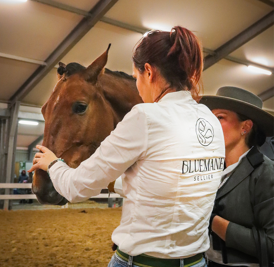 Expertise mors et briderie : A la recherche de l'équipement idéal