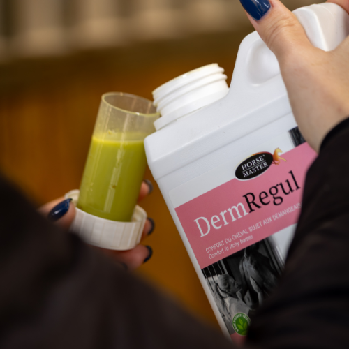 DERM REGUL - Confort du cheval sujet aux démangeaisons