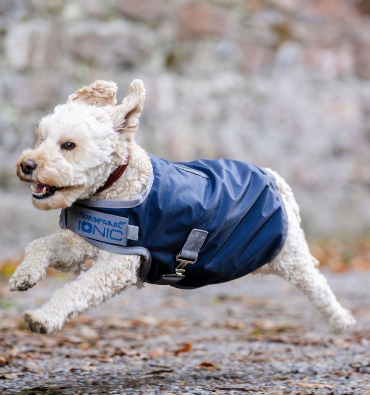 Manteau imper Ionic de Horseware pour le bien-être des chiens