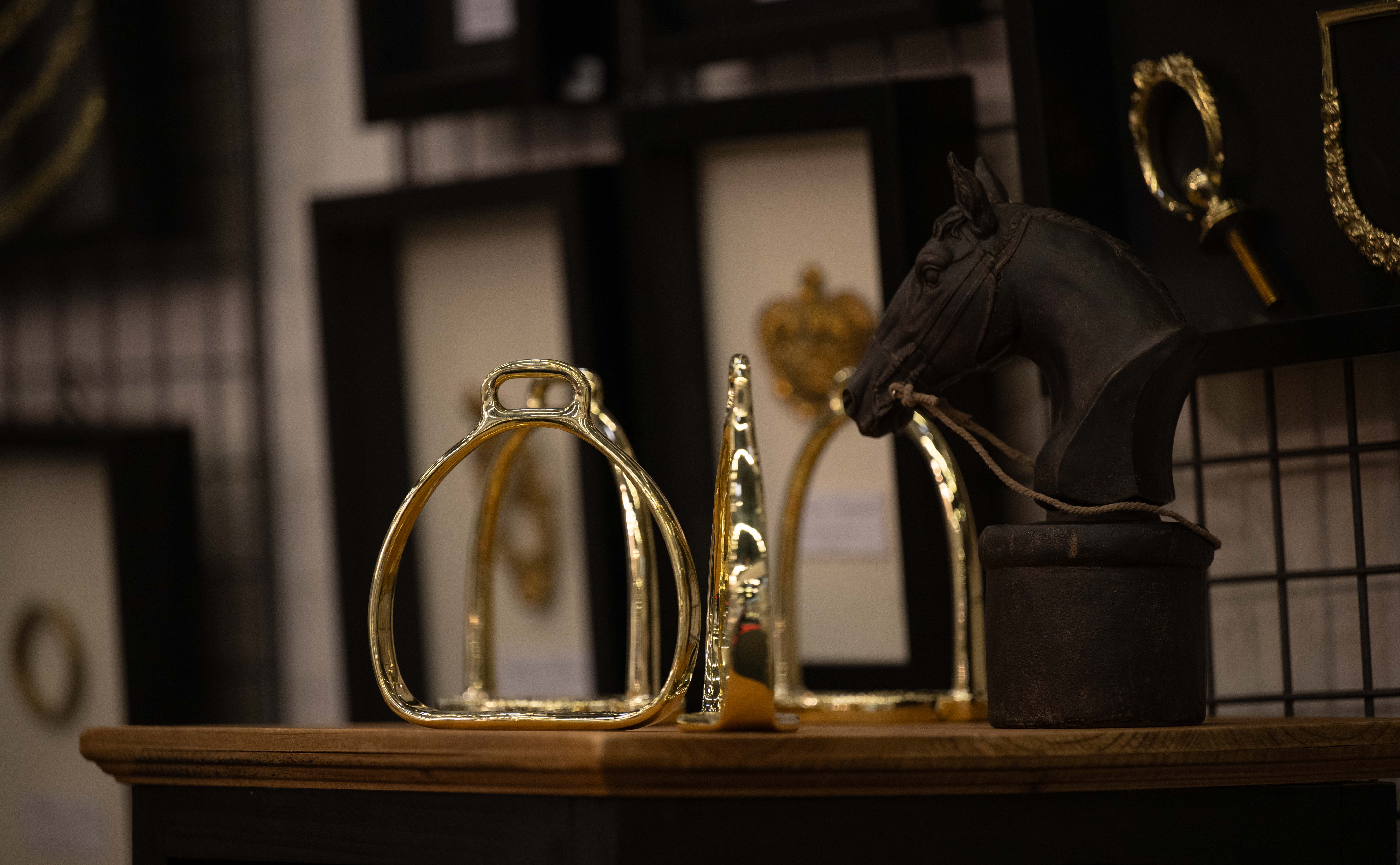 Le Salon du Cheval : le rendez-vous des pros et des passionnés !