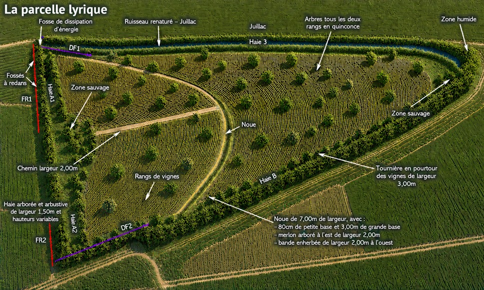 Creation of  Lyriques  plots