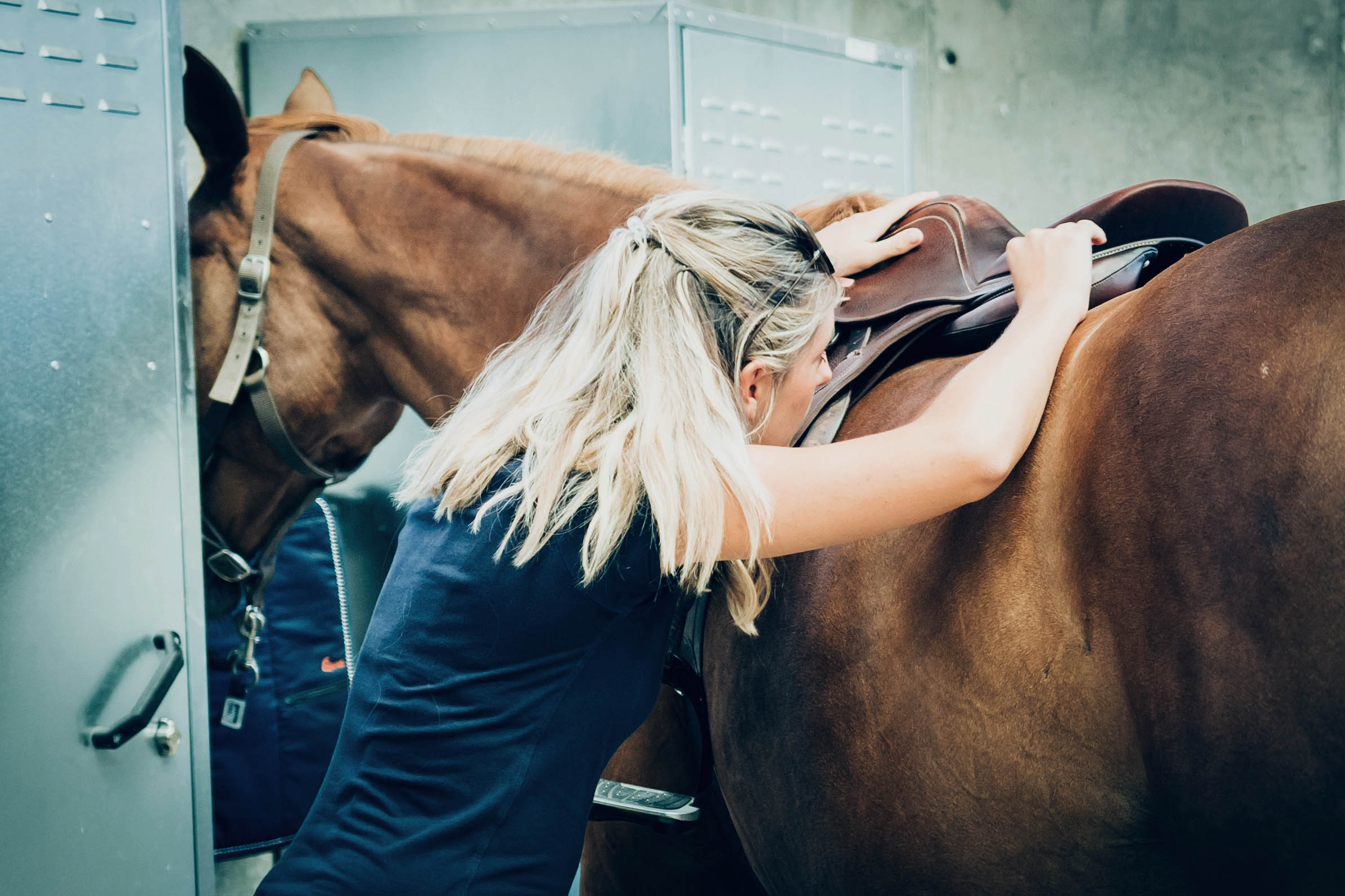 Saddle-fitting, ergonomie de la selle