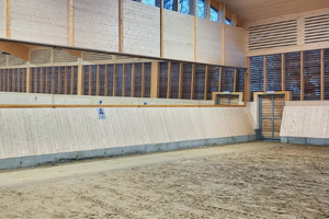 MIROIR DE MANÈGE, DE CARRIÈRE & PARE-BOTTE