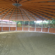 MARCHEURS & RONDS DE LONGE