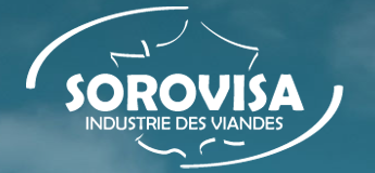 logo SOROVISA .png