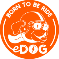 Born to Be Ride.png