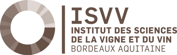 ISVV.jpeg