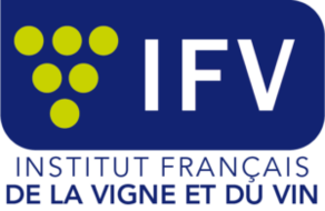 Logo IFV.png