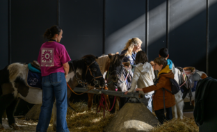 Salon du Cheval-Poney Club-ArtisteAssocie-001.JPG