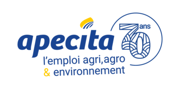 APECITA.png
