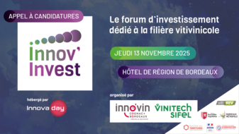 Meta-image - Innovinvest.png