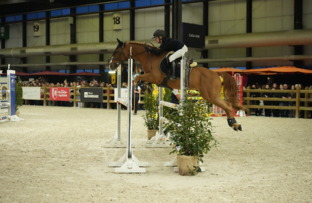 2_judith-baudron-as-poney-2d-vitesse-artisteassocie-004.jpg