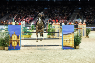 3_elise-sikirdji-good-boy-du-prebas-super-as-poney-elite-grand-prix-excellence-artisteassocie-019.jpg