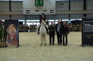 rdp-poney-2-vitesse-artisteassocie-002.jpg