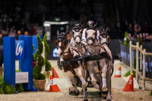 3_bram-chardon-caiw-fei-driving-world-cup-final-by-laiterie-de-montaigu-1ere-manche-artisteassocie-002.jpg