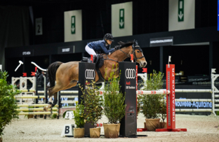 3_horse-show-for-qopper-championnat-flex-on-des-partenaires-finale-par-equipe-artisteassocie-022.jpg