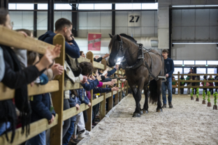 ambiance-salonducheval-vendredi-artisteassocie-004.jpg