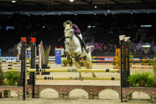 1_ecurie-fantagaro_finale-de-la-coupe-des-clubs-by-crena-artisteassocie-1.jpg
