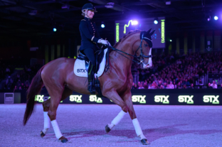 Spectacle Équestre - Battle de dressage by STX FRANCE