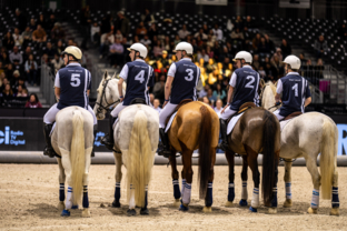 match-de-horseball-artisteassocie-015.jpg