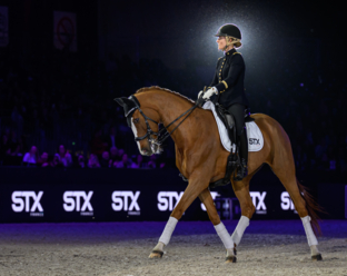 Spectacle Équestre - Battle de dressage by STX FRANCE