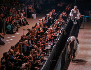 Spectacle Équestre - REVE(S)