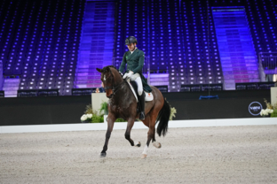 Dressage CDI4* - Grand Prix - 3ème place - João Victor Marcari Oliva et Feel Good VO NRW