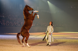 spectacle-sueno-artisteassocie-089.jpg
