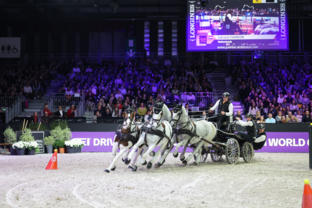 CAIW Final - FEI Driving World Cup™ Final - 1ère manche - 3ème place - Ijsbrand Chardon