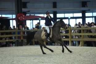 rdp_poney-2-grand-prix-artisteassocie-022.jpg