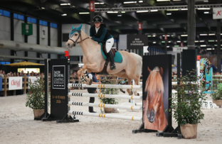 1_faustine-daveze-as-poney-2d-vitesse-artisteassocie-003.jpg
