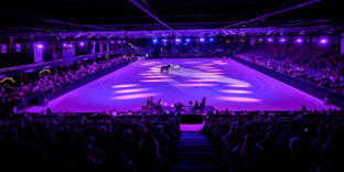 Spectacle Équestre - REVE(S)