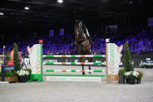 Championnat FLEX-ON des Partenaires - Finale individuelle - GOLD - 3ème place  - Camille Pressoir & Kastar du Fourcroix