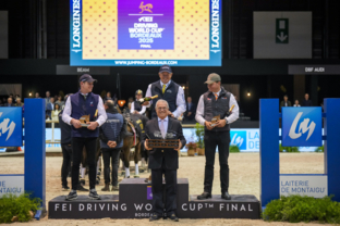 rdp_caiw-fei-driving-world-cup-final-by-laiterie-de-montaigu-artisteassocie-035.jpg