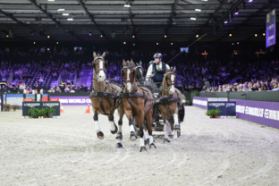 CAIW Final - FEI Driving World Cup™ Final - 1ère manche - 2ème place - Dries Degrieck