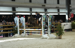 3_soraya-hazi-poney-2-vitesse-artisteassocie-004.jpg