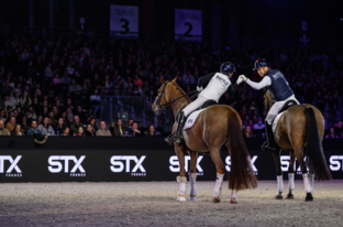 Spectacle Équestre - Battle de dressage by STX FRANCE