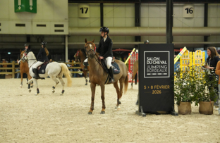 rdp_as-poney-2d-grand-prix-tda-artisteassocie-007.jpg
