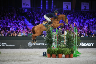 CSI5*W-Prix FFE GENERALI - 2ème place - Daniel Deusser & Bingo Ste Hermelle