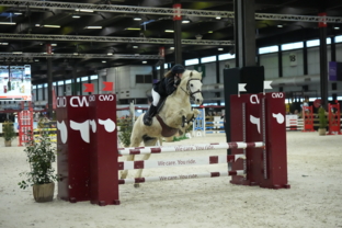 2_eva-salles-poney-1-grand-prix-artisteassocie-007.jpg