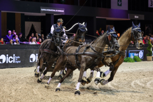 1_boyd-exell-caiw-fei-driving-world-cup-final-by-laiterie-de-montaigu-1ere-manche-artisteassocie-008.jpg