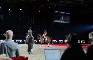 battle-de-dressage-by-stx-artisteassocie-007 (1).jpg