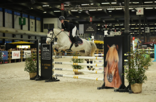 3_eva-bojanowicz-as-poney-2d-vitesse-artisteassocie-002.jpg