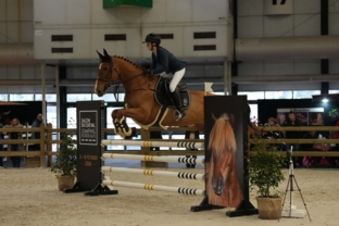 jeudi-1_claire-drapeaud-top-ten-re-gional-am-2-by-crena-artisteassocie-002.jpg
