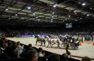 3_koos-de-ronde-caiw-fei-driving-world-cup-final-by-laiterie-de-montaigu-artisteassocie-008.jpg