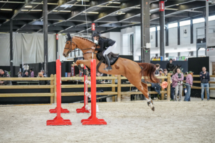 Top Ten régional Amateur 1 by CRENA - 3rd place - Lilou WOLFF & FOR FUN MENILJEAN