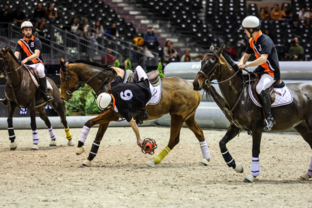 match-de-horseball-artisteassocie-026.jpg